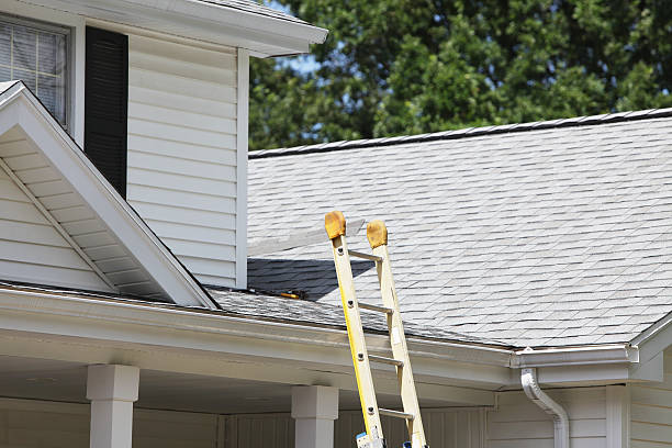 Best Hoarding Cleanup  in Chester, PA